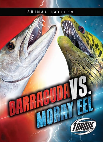 Barracuda vs. Moray Eel (Animal Battles)