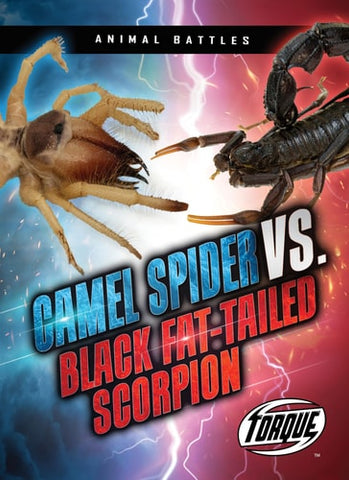 Camel Spider vs. Black Fat-Tailed Scorpion (Animal Battles)