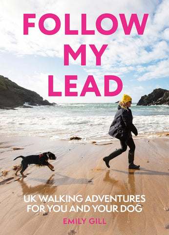 Follow My Lead UK Walking Adventures for You and Your Dog