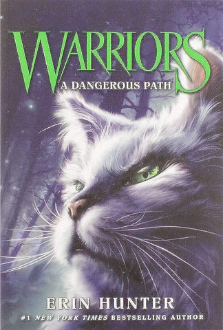 Warriors #5 A Dangerous Path