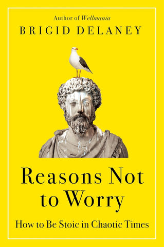 Reasons Not to Worry: How to Be Stoic in Chaotic Times