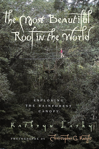 Most Beautiful Roof in the World: Exploring the Rainforest Canopy