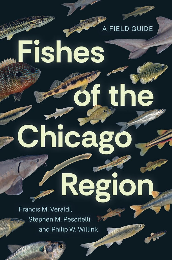 Fishes of the Chicago Region A Field Guide