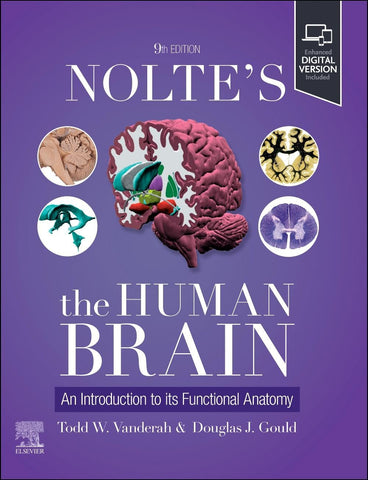Nolte's the Human Brain An Introduction to Its Functional Anatomy