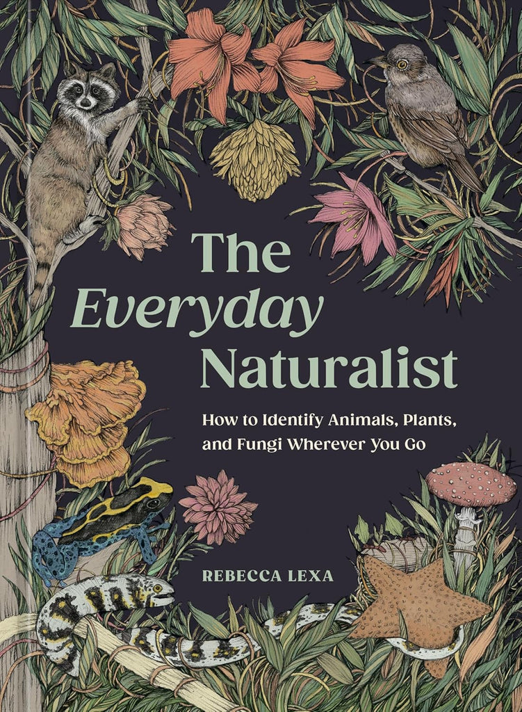 Everyday Naturalist How to Identify Animals, Plants, and Fungi Wherever You Go