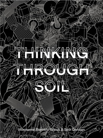 Thinking Through Soil Wastewater Agriculture in the Mezquital Valley