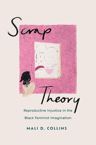 Scrap Theory Reproductive Injustice in the Black Feminist Imagination