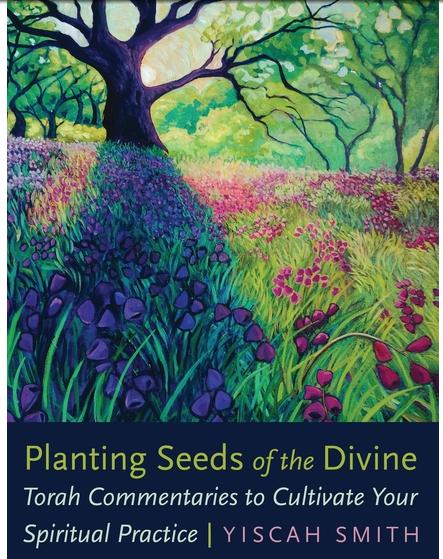 Planting Seeds of the Divine Torah Commentaries to Cultivate Your Spiritual Practice