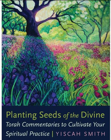 Planting Seeds of the Divine Torah Commentaries to Cultivate Your Spiritual Practice