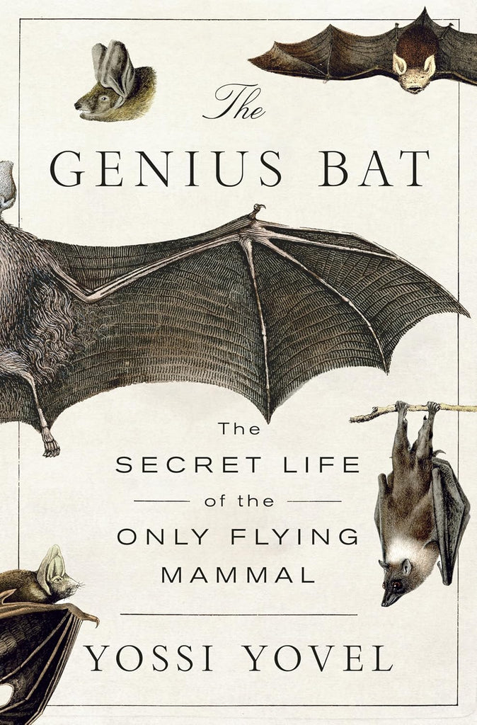 Genius Bat: The Secret Life of the Only Flying Mammal