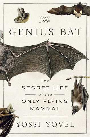 Genius Bat: The Secret Life of the Only Flying Mammal