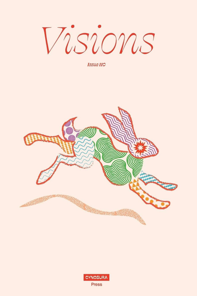 Visions, Issue 110