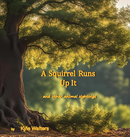Squirrel Runs Up It and other animal sightings