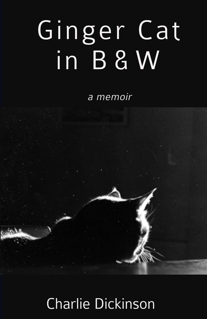 Ginger Cat in B & W