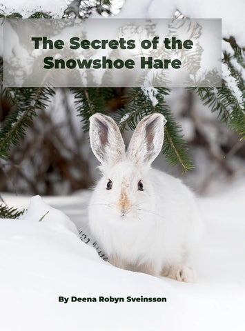 Secrets of the Snowshoe Hare