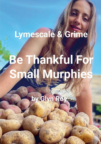 Lymescale & Grime, Be Thankful For Small Murphies Lymescale & Grime Book 5