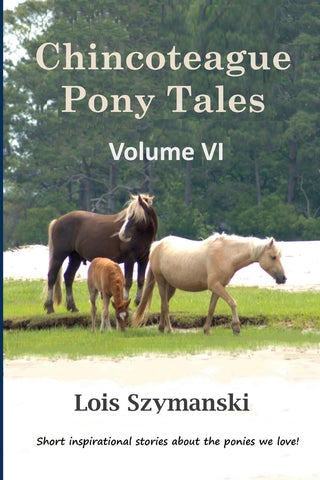 Chincoteague Pony Tales Volume VI