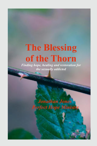 Blessing of the Thorn- 2nd Edition- revised Healing Sexual Addiction in the Christian Community