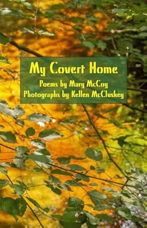 My Covert Home