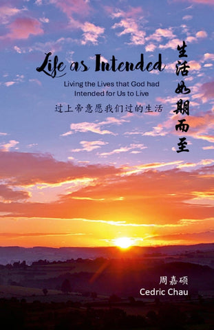 Life as Intended (Bilingual Edition) Living the Lives that God had Intended for Us to Live