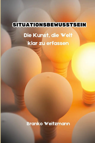 Situationsbewusstsein Die Kunst, die Welt klar zu erfassen