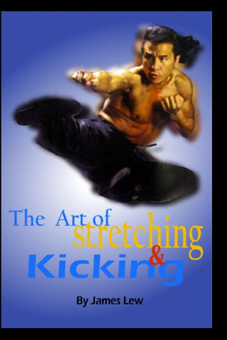 Art of Stretching & Kicking