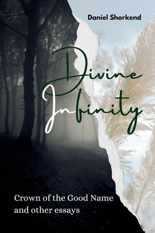Divine Infinity Crown of the Good Name and other essays