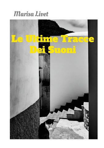 Ultime Tracce Dei Suoni