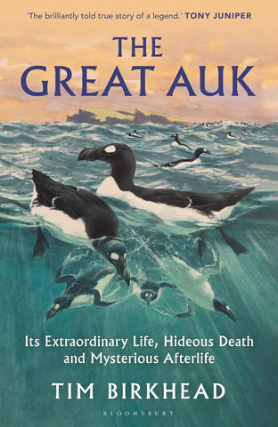 Great Auk: Its Extraordinary Life, Hideous Death and Mysterious Afterlife