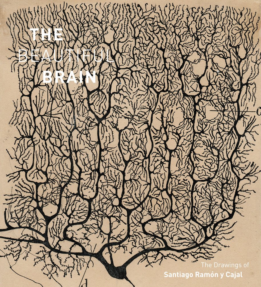 Beautiful Brain: The Drawings of Santiago Ramon Y Cajal