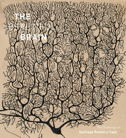 Beautiful Brain: The Drawings of Santiago Ramon Y Cajal