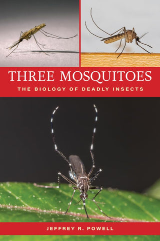 Three Mosquitoes The Biology of Deadly Insects