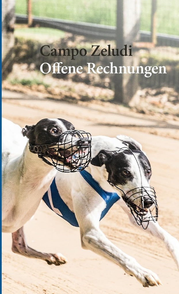 Offene Rechnungen Ausfalle und Kampfkuhe Fussnoten der Sportgeschichte