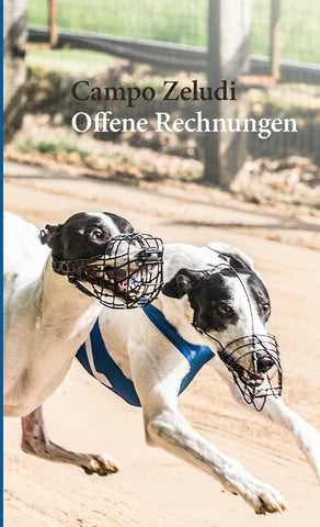 Offene Rechnungen Ausfalle und Kampfkuhe Fussnoten der Sportgeschichte