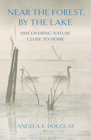Near the Forest, by the Lake: Discovering Nature Close to Home