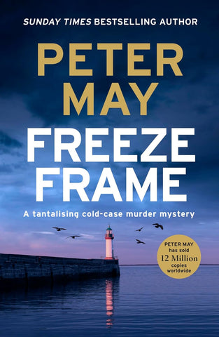 Freeze Frame An Engrossing Instalment in the Cold-Case Enzo Series (the Enzo Files Book 4)