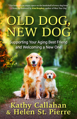 Old Dog, New Dog Supporting Your Aging Best Friend and Welcoming a New One