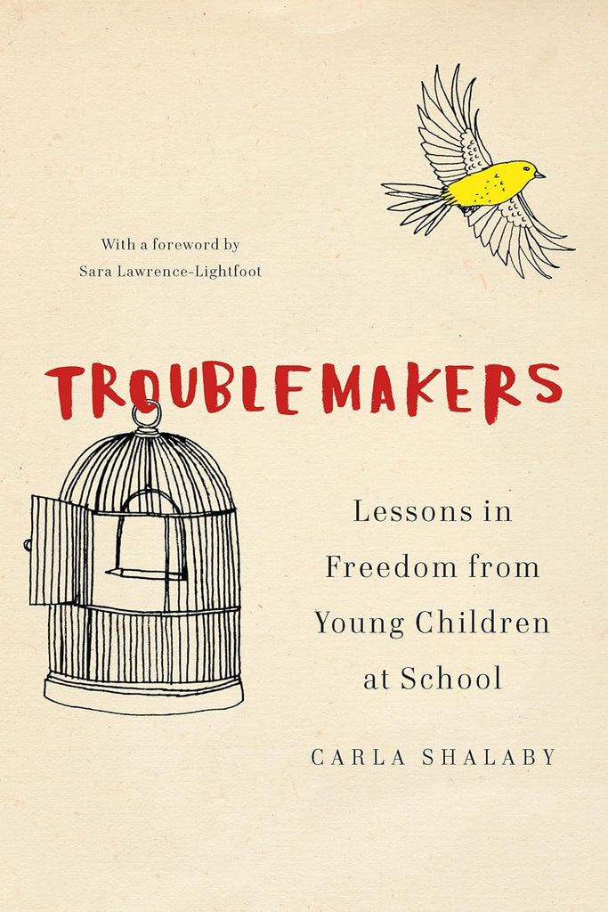 Troublemakers: Lessons in Freedom from Young Children at School
