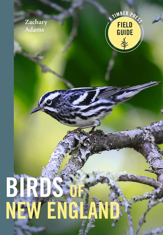 Birds of New England A Timber Press Field Guide