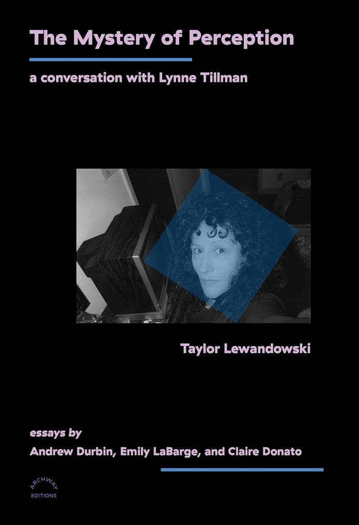 Mystery of Perception A Conversation with Lynne Tillman