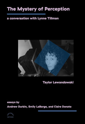 Mystery of Perception A Conversation with Lynne Tillman