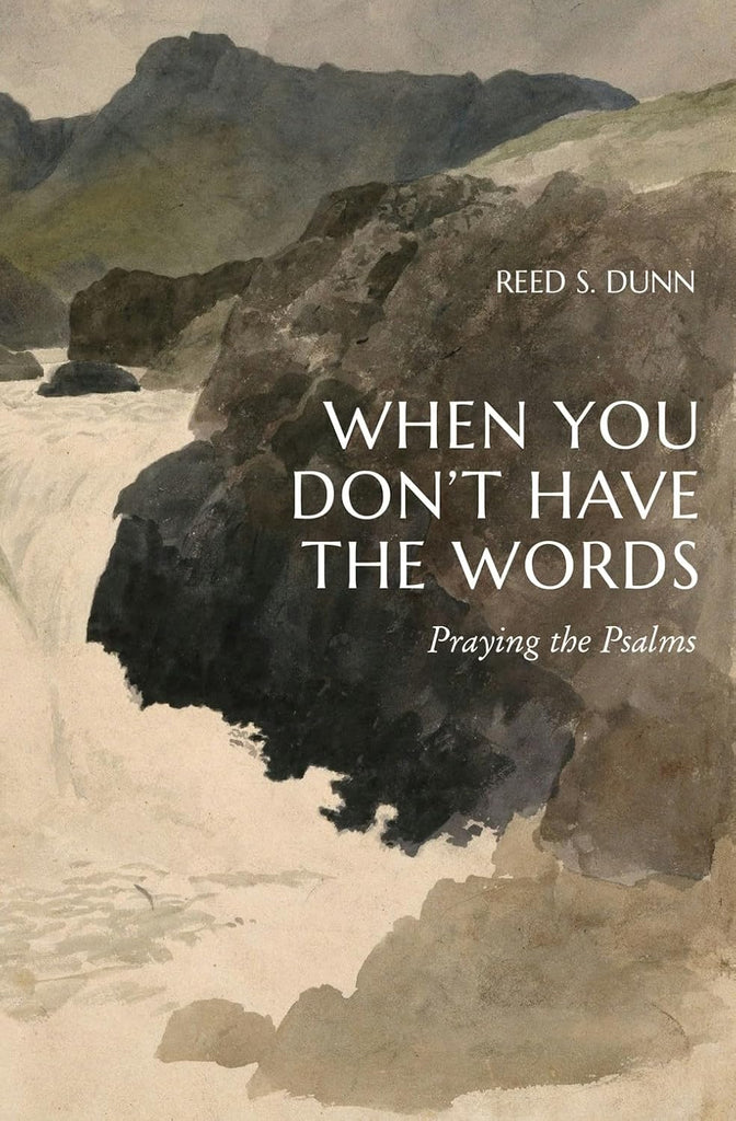When You Don't Have the Words Praying the Psalms