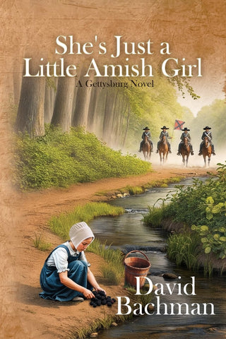 She's Just a Little Amish Girl A Gettysburg Novel