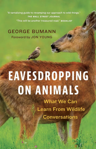 Eavesdropping on Animals What We Can Learn from Wildlife Conversations