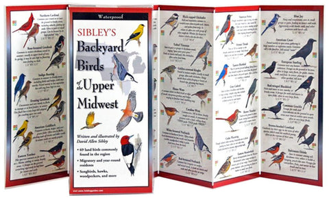 Sibley's Back. Birds of the Midwest