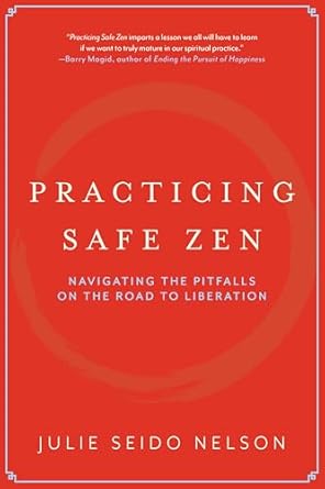 Practicing Safe Zen Navigating the Pitfalls on the Road to Liberation