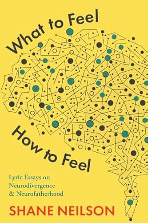 What to Feel, How to Feel Lyric Essays on Neurodivergence and Neurofatherhood