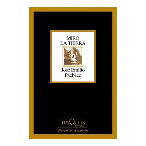 Miro La Tierra (Poesia) / I Look at the Ground (Poems)