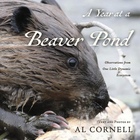 Year at a Beaver Pond: Observations from One Little Dynamic Ecosystem