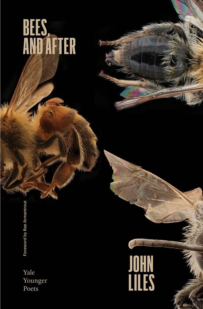 Bees, and After (Volume 119) (Yale Series of Younger Poets)